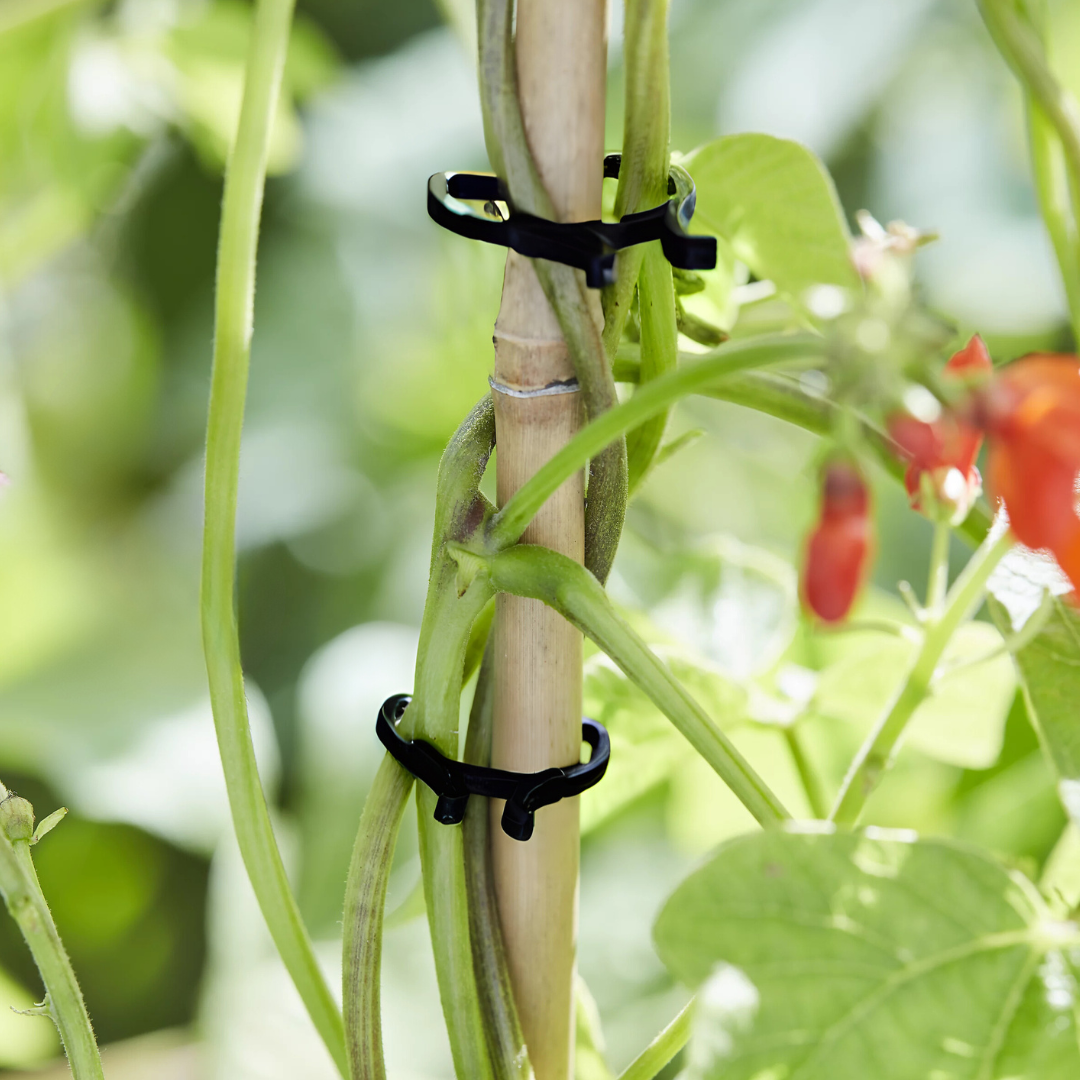 Plant Support Clips (pack of 40)