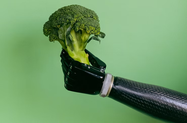 Why Engaging Regulators Early Made ReallyRecycle Stronger