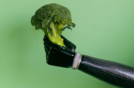 Why Engaging Regulators Early Made ReallyRecycle Stronger